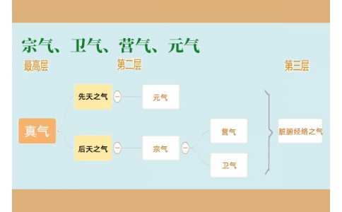 中醫(yī)里的“宗氣”、“衛(wèi)氣”、“營氣”、“元氣”